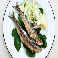 Simple Grilled Sardines_image