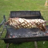 Barbecued Pig_image