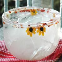 Ice Bowls image