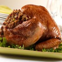 Holiday Turkey with Cranberry Pecan Stuffing_image
