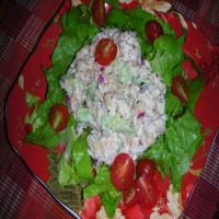 Lemony Tuna Salad image