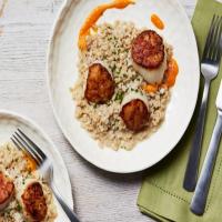 Barley Risotto with Scallops and Red Pepper Sauce image