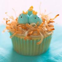 Nesting Baby-Bluebird Cupcakes_image