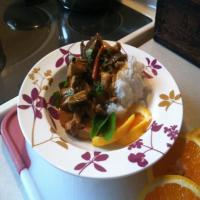 Thai Red Curry Chicken and Eggplant (Aubergine) image