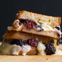 Blackberry Grilled Cheese Sandwich image