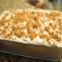 Ice Cream Pudding Recipe - (3.9/5)_image