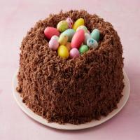 Chocolate Malt Nest Cake_image