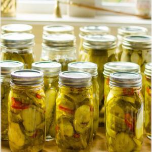 Bread and Butter Pickles_image