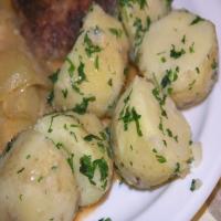 North Croatian Boiled Potato_image