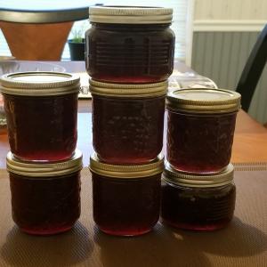Blueberry Pepper Jelly image