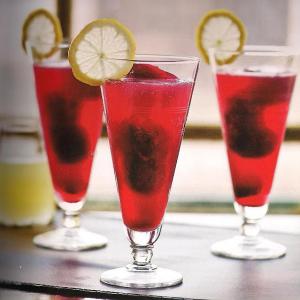 Pomegranate Lemon Vodka Spritzers_image