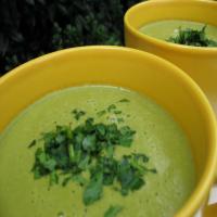 Vegan Cream of Spinach Soup image