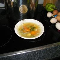 Turkey Soup with Root Vegetables_image