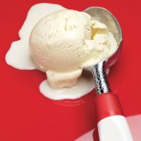 Greek Yogurt Ice Cream image