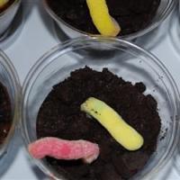 Mud and Worms_image