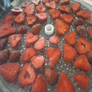 Dehydrated Strawberrys_image