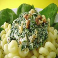 Spinach and Ricotta Cheese Sauce for Pasta_image