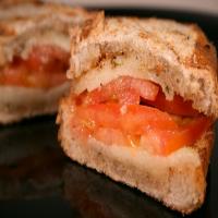 Grilled Provolone, Tomato and Oregano Sandwich image
