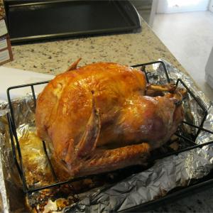 The Best Ugly Turkey_image
