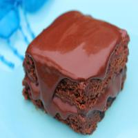Boreal Forest Cranberry Brownies image