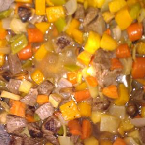 Beef Stew with Roasted Winter Vegetables_image