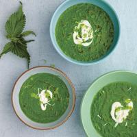 Chilled Watercress, Spring Nettle, And Sorrel Soup image