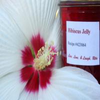 Hibiscus Jelly image