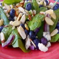 Berry Blue Salad image