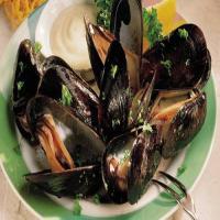 Mussels with Mustard Sauce_image