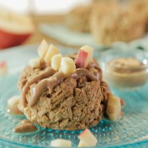 Oatmeal Biscuits with Apple Butter Yogurt image