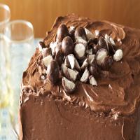 Chocolate Cake with Malt Topping_image