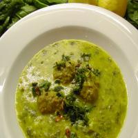 Middle Eastern Lamb and Spinach Soup_image
