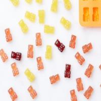 Homemade Gummy Bears image