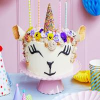 Party animal cake_image