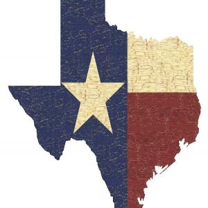 Texas Tea Sandwiches_image