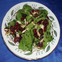 Cranberry Spinach Salad image
