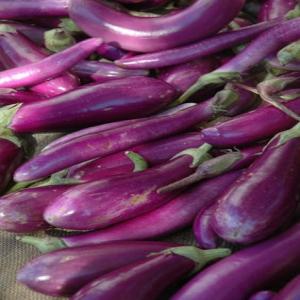 Eggplant Casserole Easy Recipe - (4.5/5)_image