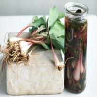 Pickled Ramps image