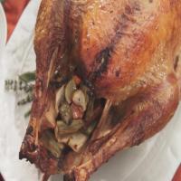 Roast Turkey with Herb Gravy_image