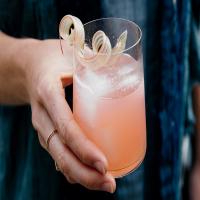 Rhubarb-Fennel Gin Cocktail_image