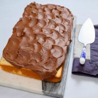 Yellow Sheet Cake with Dark Chocolate Buttercream_image