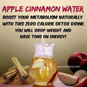 Apple-Cinnamon Water Recipe - (4.3/5) image