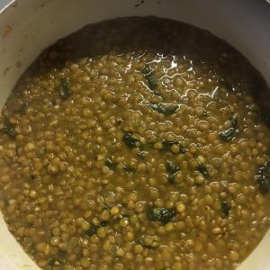 Syrian-Style Lentil and Spinach Soup image