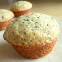 Applesauce Orange Poppyseed Muffins image