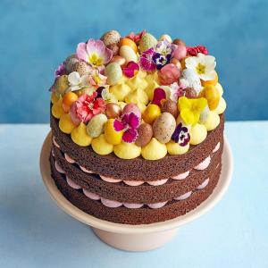 Chocolate & vanilla celebration cake image
