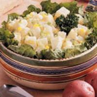 Contest-Winning Old-Fashioned Potato Salad_image