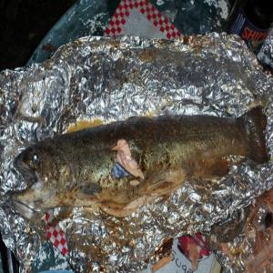 Campfire Whole Rainbow Trout_image