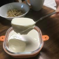 Vietnamese Style Homemade Yogurt_image