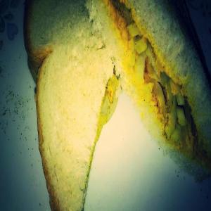 Very Unusual Sandwich (mustard and onion)_image