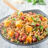 Autumn Butternut Squash and Wheat Berry Salad image